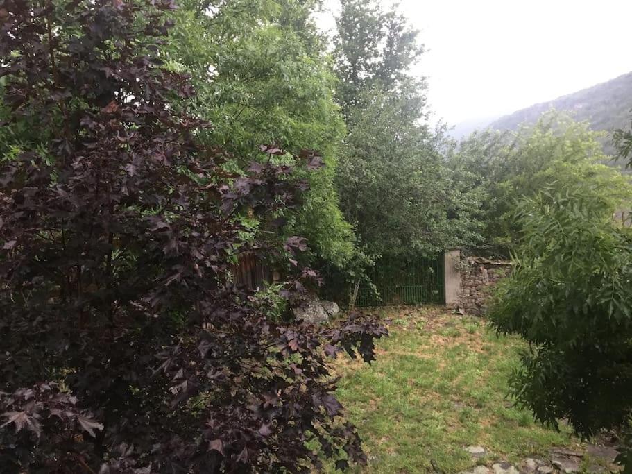 Casa Lici * Robles de Laciana